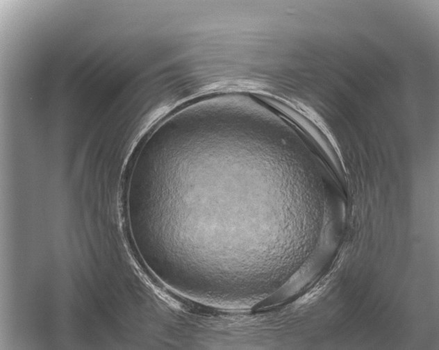X0000058800997200510071657