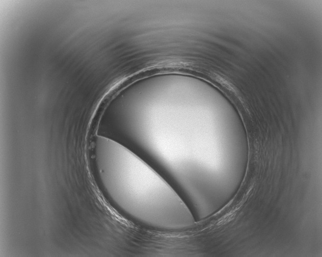 X0000058801029200510071656