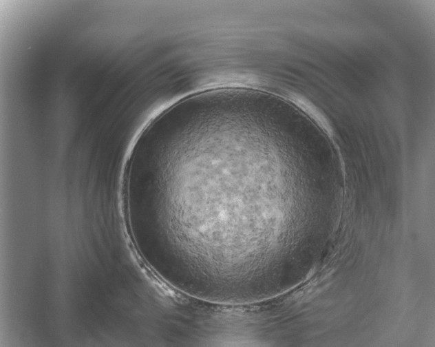 X0000058801104200510071655