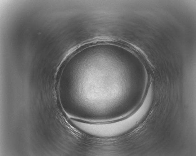 X0000058801168200510071654