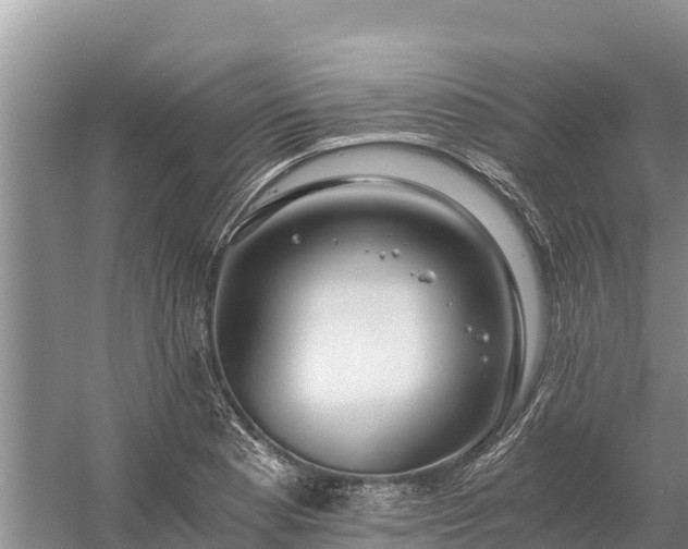 X0000058801177200510071654