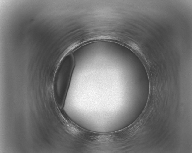 X0000058801181200510071654