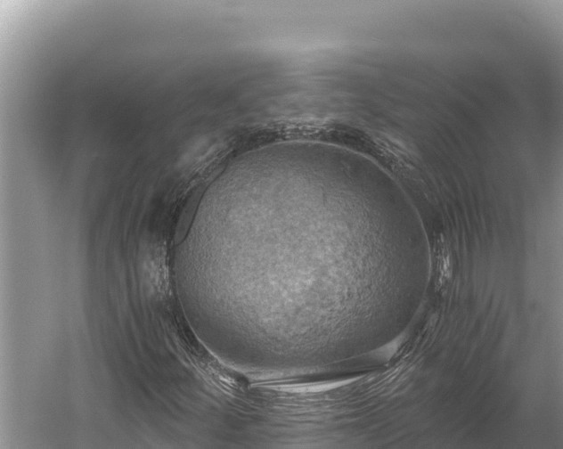 X0000058801252200510071653