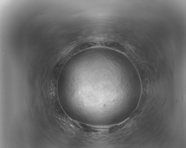 X0000058801253200510071653