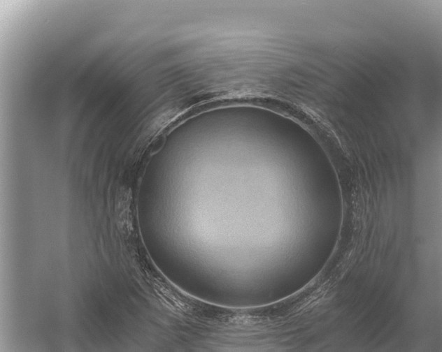 X0000058801265200510071652