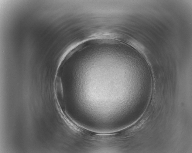 X0000058801344200510071652
