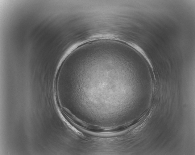 X0000058801389200510071650