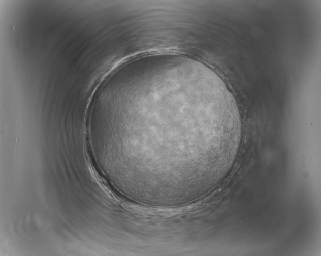 X0000058800002200510171359