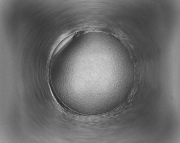 X0000058800003200510171359