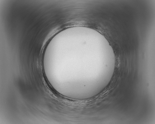 X0000058800004200510171359
