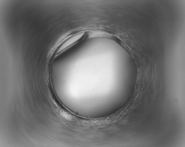 X0000058800005200510171359