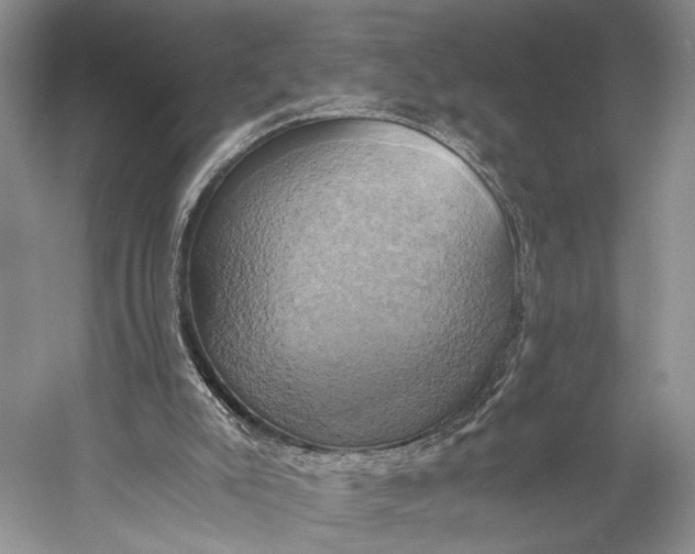 X0000058800007200510171359