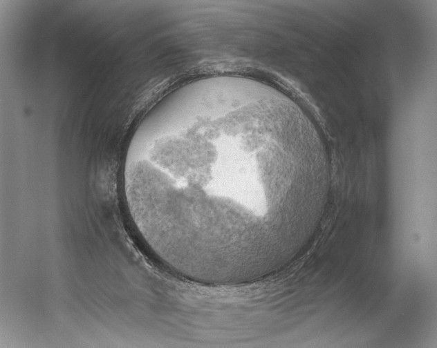 X0000058800010200510171359