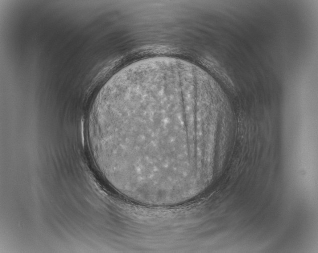 X0000058800014200510171359