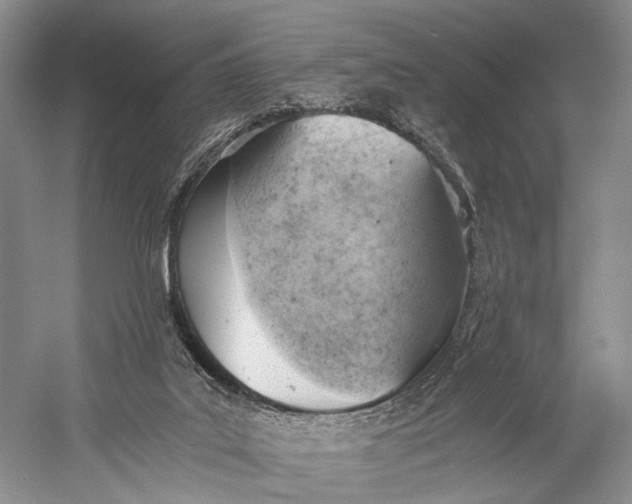 X0000058800019200510171359