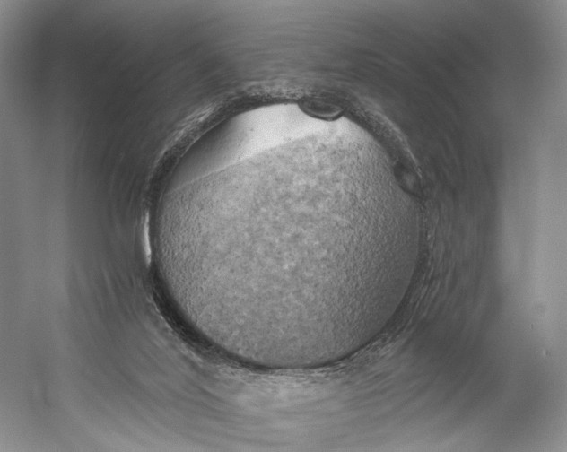 X0000058800020200510171359