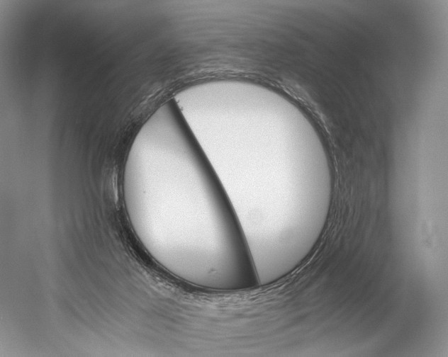 X0000058800021200510171359