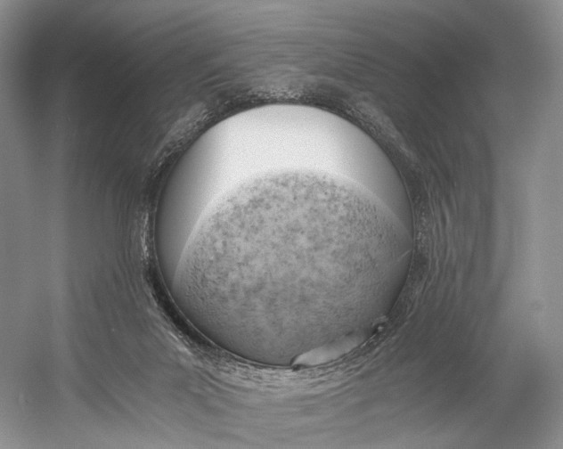 X0000058800023200510171359