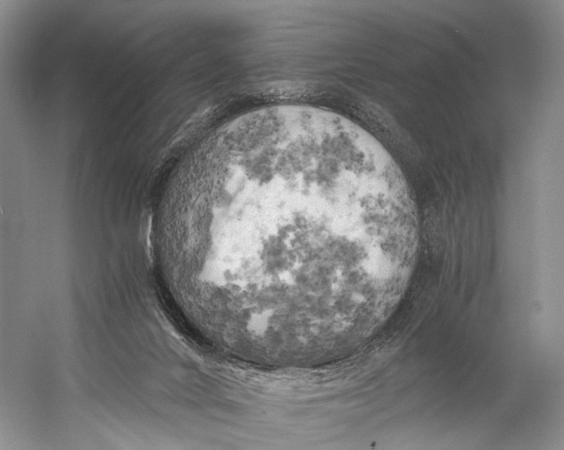 X0000058800024200510171359