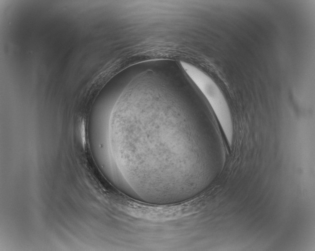 X0000058800027200510171359