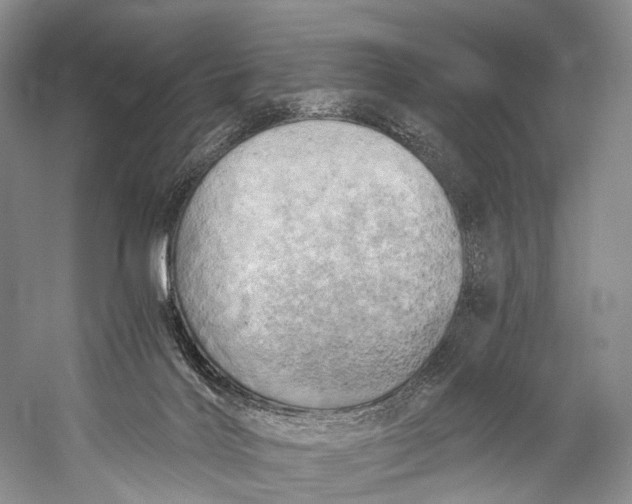 X0000058800028200510171359