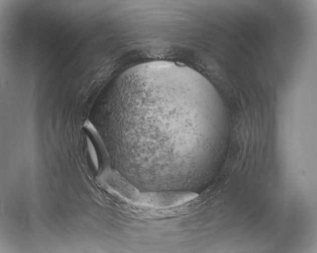 X0000058800031200510171359