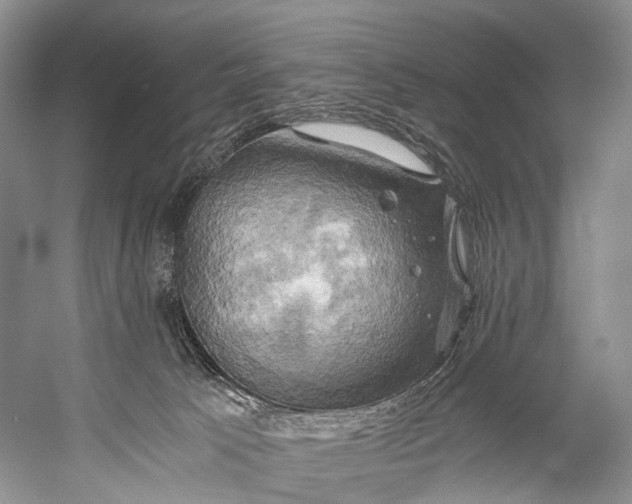 X0000058800033200510171359
