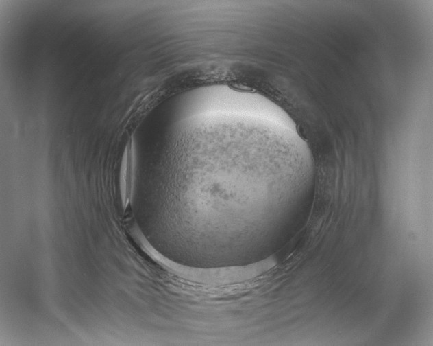 X0000058800035200510171359