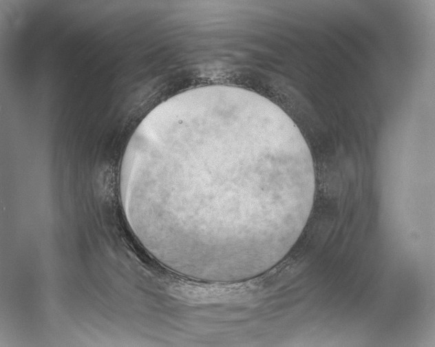 X0000058800036200510171359