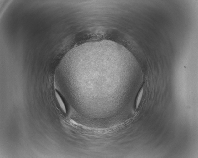 X0000058800037200510171359