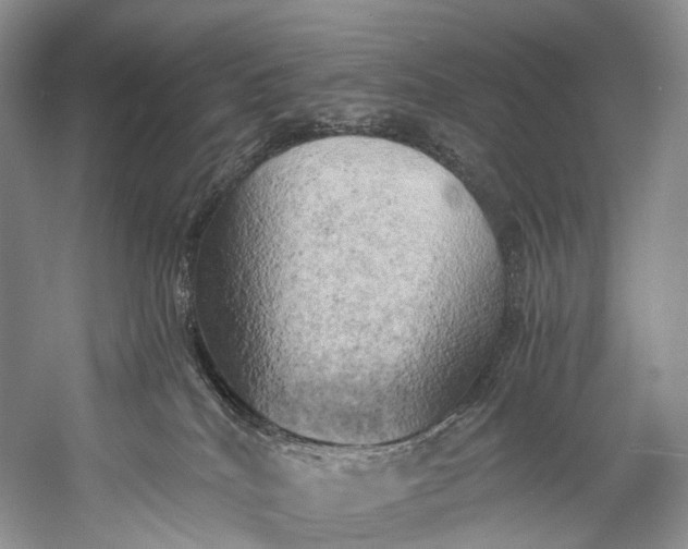 X0000058800040200510171359