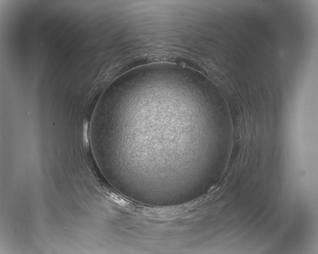 X0000058800041200510171359
