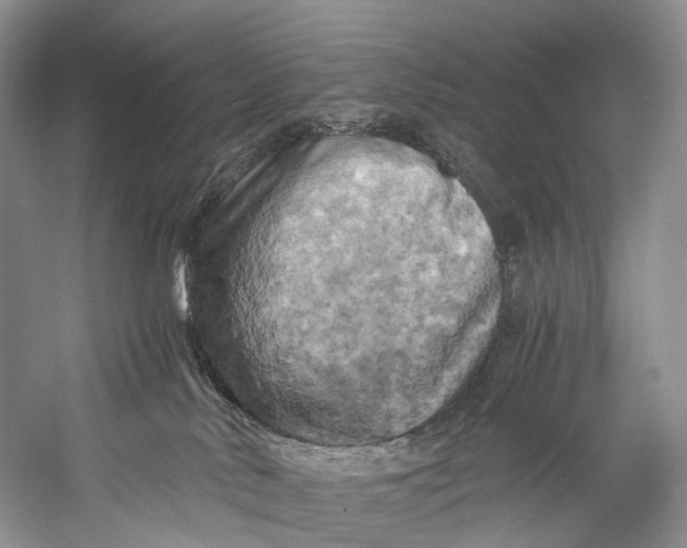X0000058800042200510171359