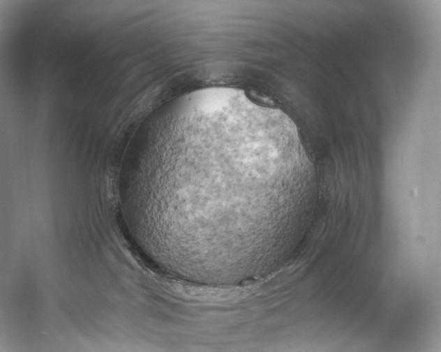 X0000058800044200510171359