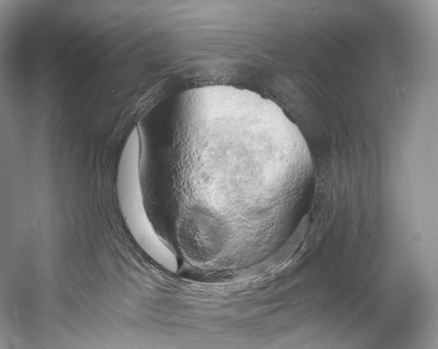 X0000058800045200510171359