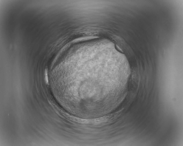 X0000058800046200510171359