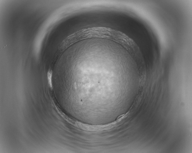 X0000058800047200510171358