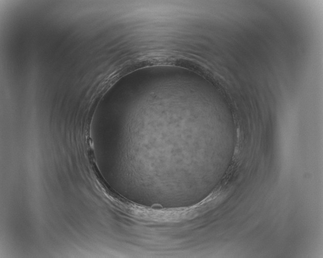 X0000058800048200510171358