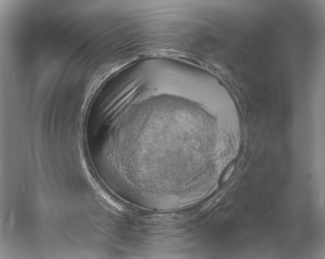 X0000058800049200510171358