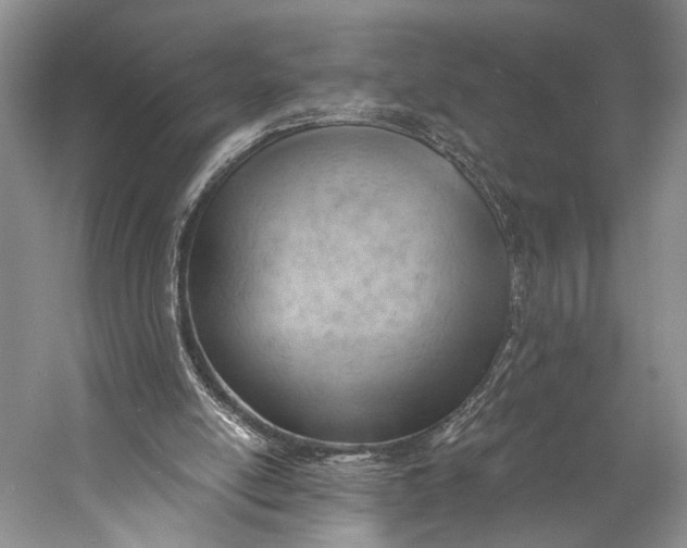 X0000058800054200510171358