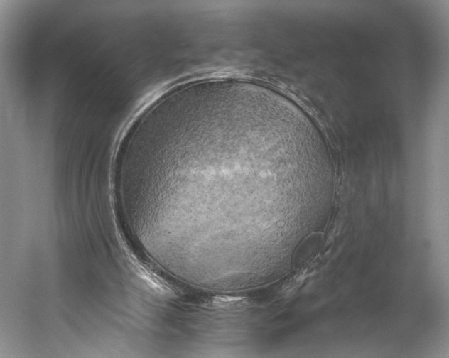 X0000058800055200510171358