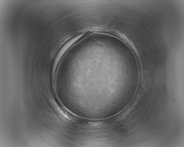 X0000058800057200510171358