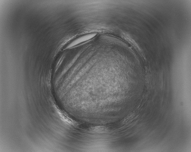 X0000058800058200510171358