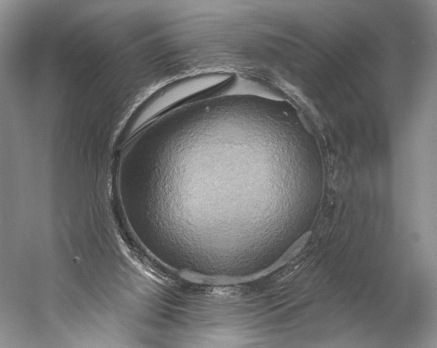 X0000058800060200510171358