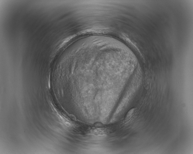 X0000058800062200510171358