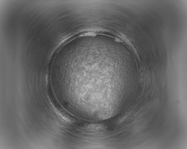 X0000058800063200510171358