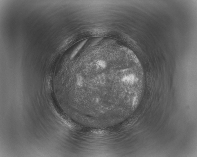 X0000058800071200510171358