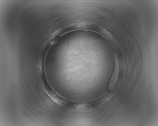 X0000058800072200510171358