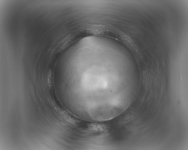 X0000058800073200510171358