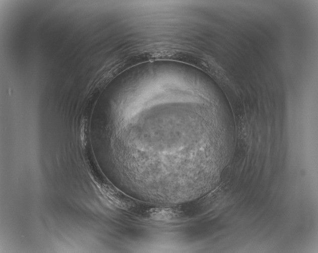 X0000058800074200510171358
